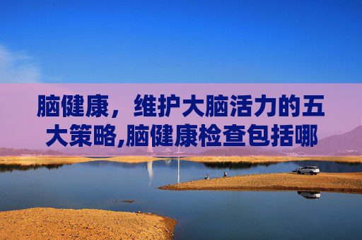 脑健康，维护大脑活力的五大策略,脑健康检查包括哪些