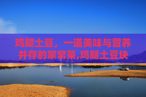 鸡腿土豆，一道美味与营养并存的家常菜,鸡腿土豆块家常做法