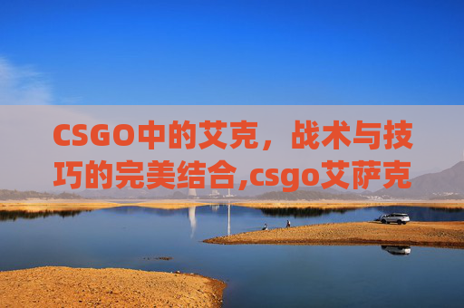 CSGO中的艾克，战术与技巧的完美结合,csgo艾萨克