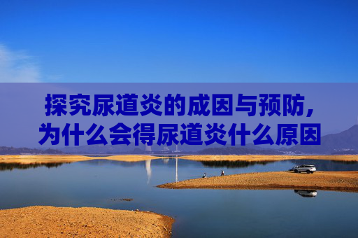 探究尿道炎的成因与预防,为什么会得尿道炎什么原因引起的