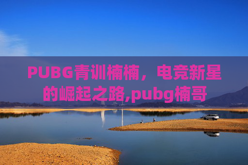 PUBG青训楠楠，电竞新星的崛起之路,pubg楠哥
