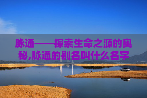 脉通——探索生命之源的奥秘,脉通的别名叫什么名字