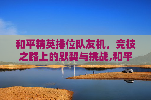 和平精英排位队友机，竞技之路上的默契与挑战,和平精英排位队友机制怎么开