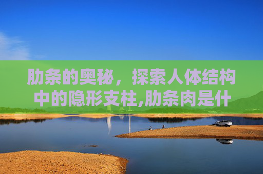 肋条的奥秘，探索人体结构中的隐形支柱,肋条肉是什么肉