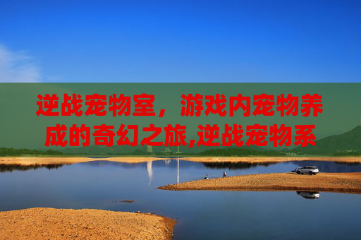 逆战宠物室，游戏内宠物养成的奇幻之旅,逆战宠物系统在哪