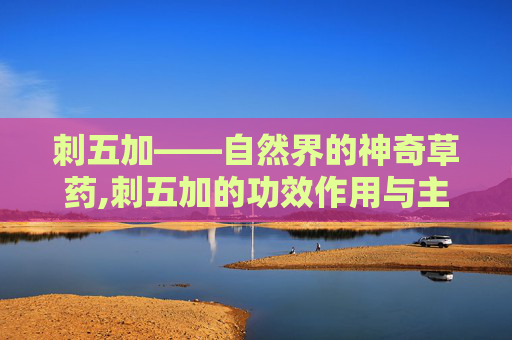 刺五加——自然界的神奇草药,刺五加的功效作用与主治