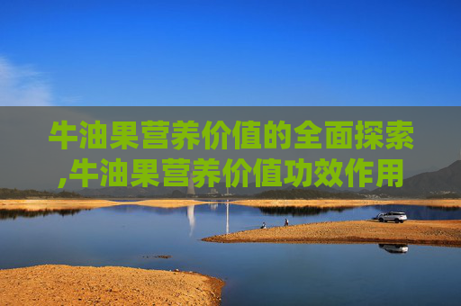 牛油果营养价值的全面探索,牛油果营养价值功效作用