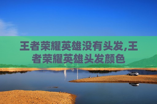 王者荣耀英雄没有头发,王者荣耀英雄头发颜色