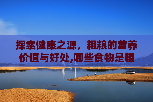 探索健康之源，粗粮的营养价值与好处,哪些食物是粗粮类的
