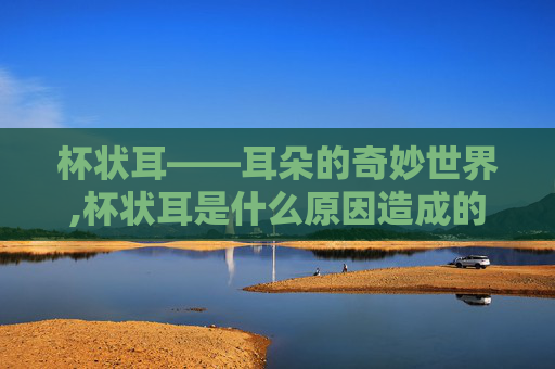 杯状耳——耳朵的奇妙世界,杯状耳是什么原因造成的