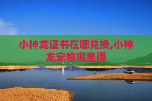 小神龙证书在哪兑换,小神龙宠物哪里得