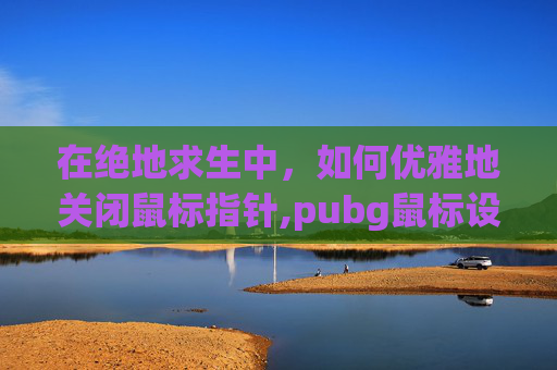 在绝地求生中，如何优雅地关闭鼠标指针,pubg鼠标设置
