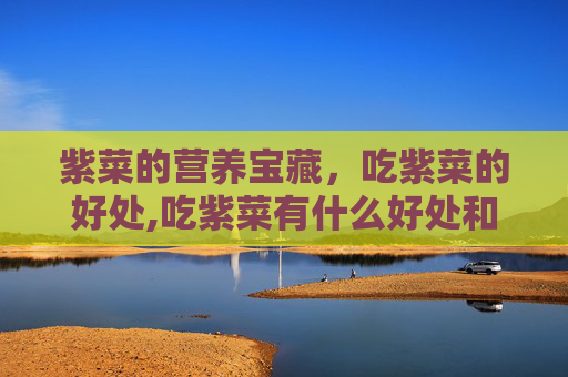 紫菜的营养宝藏，吃紫菜的好处,吃紫菜有什么好处和坏处