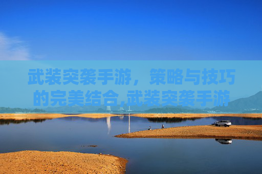 武装突袭手游，策略与技巧的完美结合,武装突袭手游版