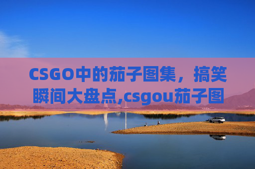 CSGO中的茄子图集，搞笑瞬间大盘点,csgou茄子图片